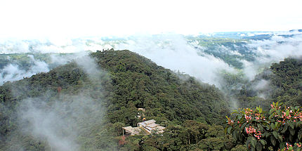 The lodge sits at the heart of a 3,212-acre protected rainforest